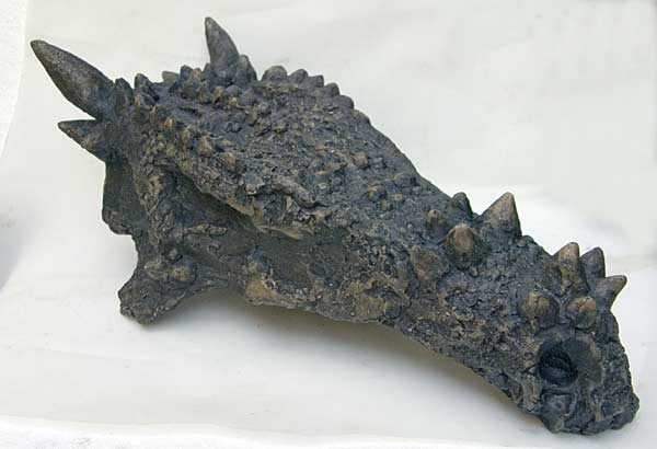 Dracorex Hogwartsia